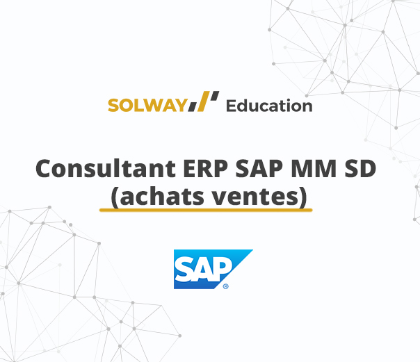 Consultant ERP SAP MM SD (achats ventes)